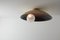 Oyster Ceiling Mounted Lamp by Carla Baz 3