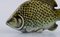 Pesce Stim in ceramica smaltata di Sven Wejsfelt per Gustavsberg, Immagine 3