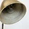 Hollywood Regency Austrian Brass Table Light in the Style of Kalmar, 1950s, Image 14