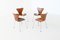 Rosewood Butterfly Dining Chairs by Arne Jacobsen for Fritz Hansen, Denmark 1965, Set of 4, Image 10