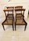 Antique Regency Rosewood Dining Chairs, Set of 4 3