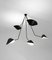 Modern Black Five Curved Fixed Arms Spider Ceiling Lamp by Serge Mouille 5