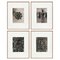 Karl Blossfeldt, Wunder in der Natur, 1940s, Photogravure Noir & Blanc, Encadrée, Set de 4 1