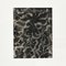 Karl Blossfeldt, Wunder in der Natur, 1940er, Schwarz-Weißer Tiefdruck, Gerahmt, 4er Set 12