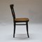 Nr. 221 Dining Chairs from Thonet, 1910, Set of 4 3