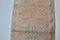 Faded Orange Soft Pale Runner Rug, Image 6