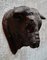 Antique French Boucherie Bull Head 3