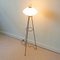 Vintage Italian Tripod Floor Lamp, 1950s 5