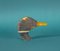 Wooden Duck Head, Tuscany, Image 3