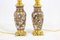Lámparas Satsuma de loza y bronce dorado, década de 1880. Juego de 2, Imagen 5