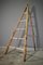 Fir & Beech Wood Ladder, Image 1
