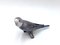 Parrot Figurine from Bing & Grøndahl 7