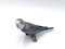 Parrot Figurine from Bing & Grøndahl, Image 7