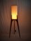 Mid-Century Wooden Floor Lamp from Uluv, Czechoslovakia, 1950s, Image 11