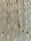 Murano Deckenlampe mit Zwei Wandleuchten von Venini, 3er Set 9