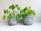 Green Running Glaze Ceramic Plant Pots, 1930s, Set of 2, Image 7