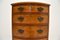 Slim Antique Burr Walnut Chest of Drawers 4