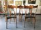 Mid-Century Dining Table & Chairs Set by Ico Parisi, Set of 7, Image 9
