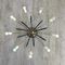 Vintage Sputnik Ceiling Lamp with 8 Arms, 1950s 1