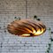 Veneria Walnut Hanging Lamp by Manuel Döpper for Gofurnit 1