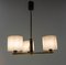 Acrylic Glass and Brass Pendant Lamp or Chandelier from Arlus, France, 1950s 4