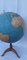 Terrestrischer Globus von Antonio Vallardi 8