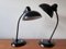 Large Bauhaus Table Lamps by Christian Dell for Kaiser Idell, 1930s, Set of 2 6
