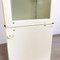 Industrielle Vintage Medizinglas Vitrine aus Metall & Glas 12