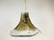 Murano Glass Pendant Light by Carlo Nason for Kalmar Franken, Austria, 1960s 4