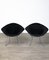 421 Diamond Chairs in Silver with Black Upholstery by Harry Bertoia for Knoll, 1950s, Set of 2 2