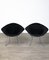 Chaises 421 Diamond en Argent avec Tapisserie Noire par Harry Bertoia pour Knoll, 1950s, Set de 2 2