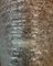 Lámpara de pared Art Déco de cristal de Murano, Imagen 5