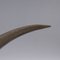 19. Jahrhundert schottisches Horn, gebänderter Achat & massiver silberner Schnupftabak, 1870 8