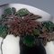 19th Century Chinese Export Solid Silver & Enamel Bowl by Wang Hing, 1890s 7