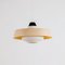 Mid-Century Fiberglass and Milk Glass Pendant by Louis Kalff for Philips, 1960s 1