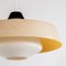 Mid-Century Fiberglass and Milk Glass Pendant by Louis Kalff for Philips, 1960s 3