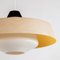 Mid-Century Fiberglass and Milk Glass Pendant by Louis Kalff for Philips, 1960s, Image 3