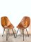 Plywood Dining Chairs by Vittorio Nobili for Fratelli Tagliabue, Italy, 1950s, Set of 2, Image 3