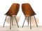 Plywood Dining Chairs by Vittorio Nobili for Fratelli Tagliabue, Italy, 1950s, Set of 2, Image 8