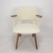 Mid-Century FT30 Chair by Cees Braakman for Pastoe, 1950s 3