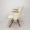 Mid-Century FT30 Chair by Cees Braakman for Pastoe, 1950s 4