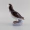 Porcelain Sea Parrot Figure from Bing & Grøndahl, Image 3