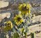 Georgij Moroz, Sunflowers, 1987, Oil on Canvas, Enmarcado, Imagen 2
