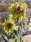 Georgij Moroz, Sonnenblumen, 1987, Öl auf Leinwand, gerahmt 3