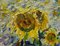 Georgij Moroz, Impressionist Field of Sunflowers, 2000, Oil on Canvas, Framed 4