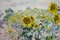 Georgij Moroz, Impressionist Field of Sunflowers, 2000, Oil on Canvas, Framed 2