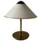 Mid-Century Modern Acrylic Glass and Brass Table Lamp, Germany, 1950s 1