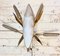 Large Regency Wheat and Leaves Insect Wall Light, Image 4