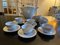Porcelain Tea Service from RGK Czechoslovakia, Set of 15 2