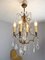 French Crystal Chandelier, 1900s 8